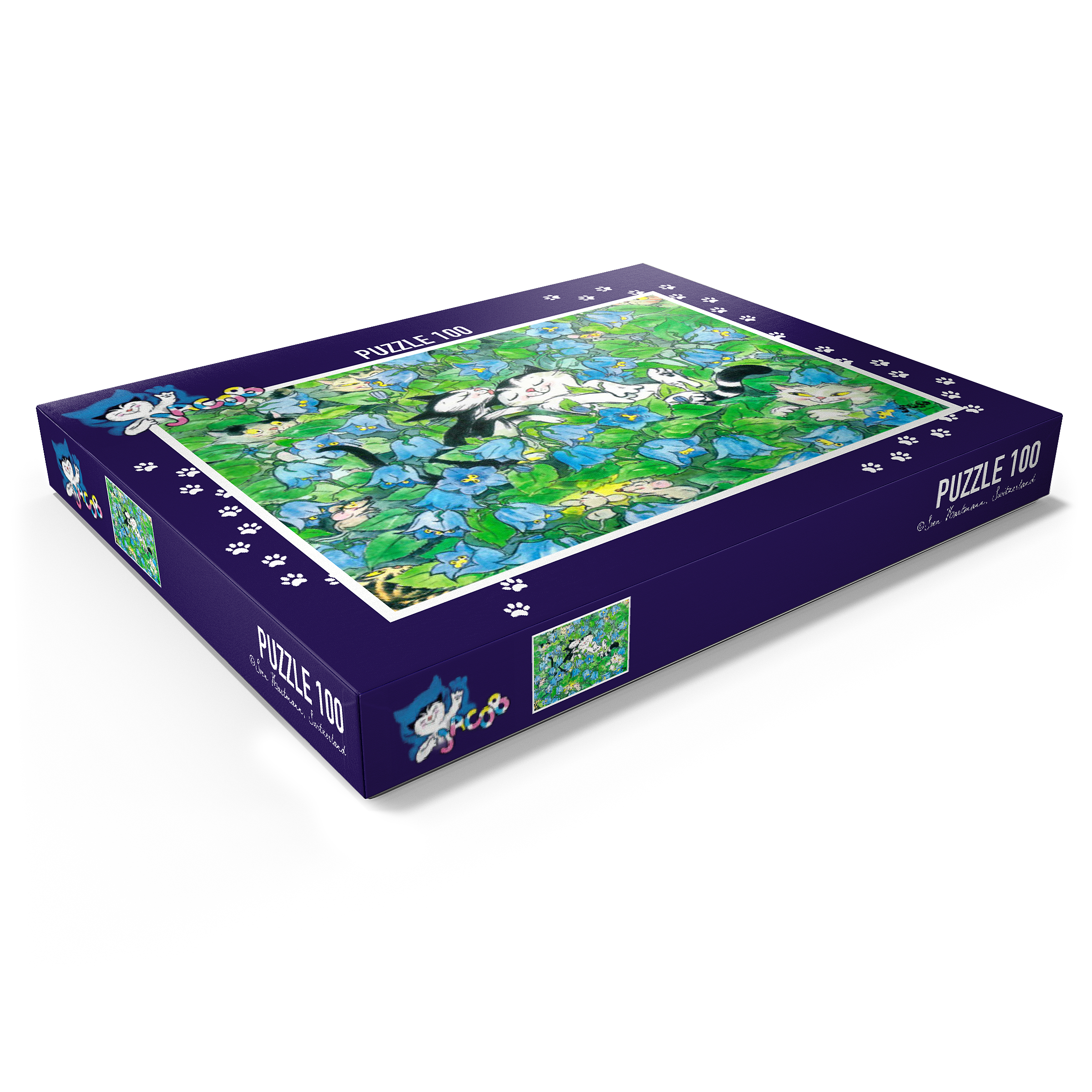 Puzzle Jacob - It should remain a secret!