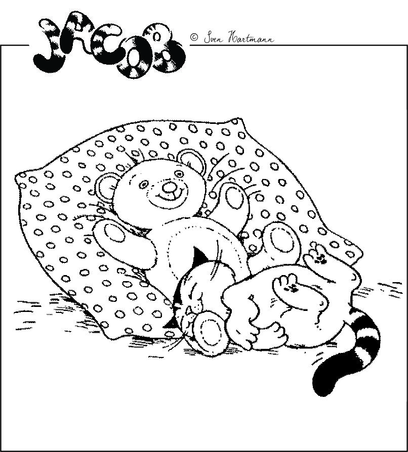 Bärlikissen