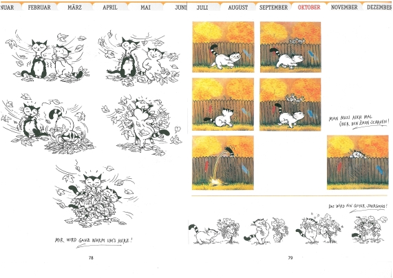 Jacob Cartoon Book