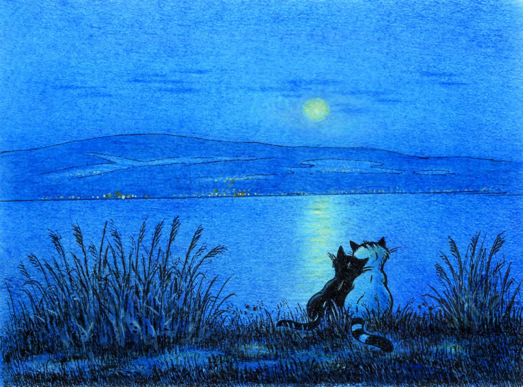 Magic nights