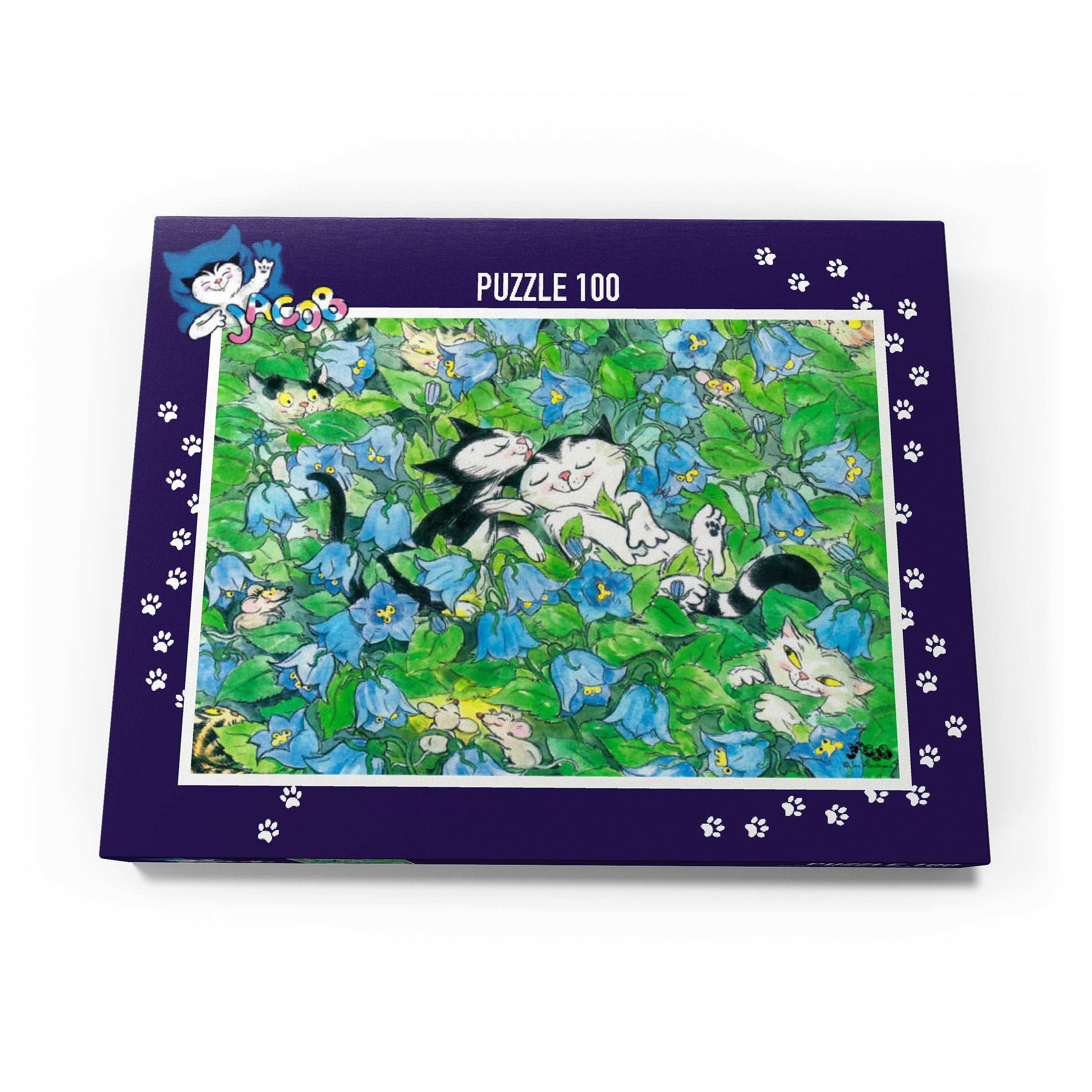 Puzzle Jacob - It should remain a secret!